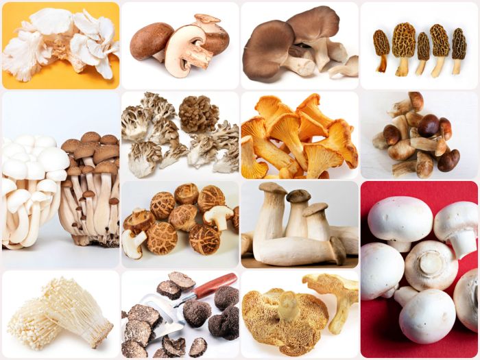 How to Cook Mushroom Pinoy Style A Flavorful Filipino Recipe Guide